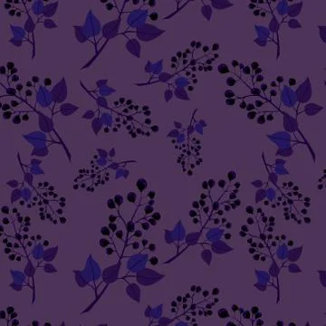 Berry sample. Branches of black currant on a purple background.. Stock Illustration