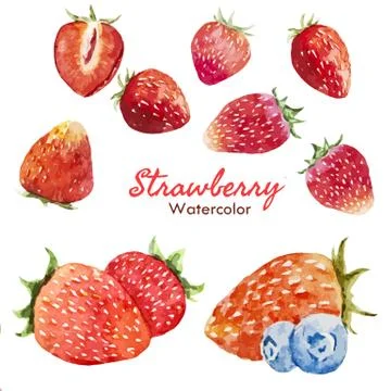 Berry set Stock Illustration