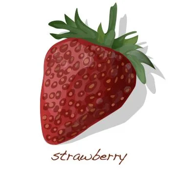 Berry strawberry vector Stock Illustration