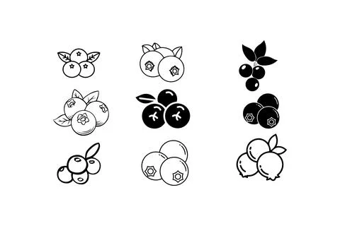 Berry vector icon set collection with leaves. Vector illustration design. Stock Illustration