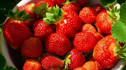 Berry3 Stock Footage 337708757