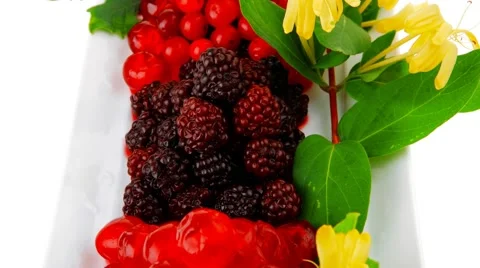 Berrys on desert plate Vídeos de archivo 45037207