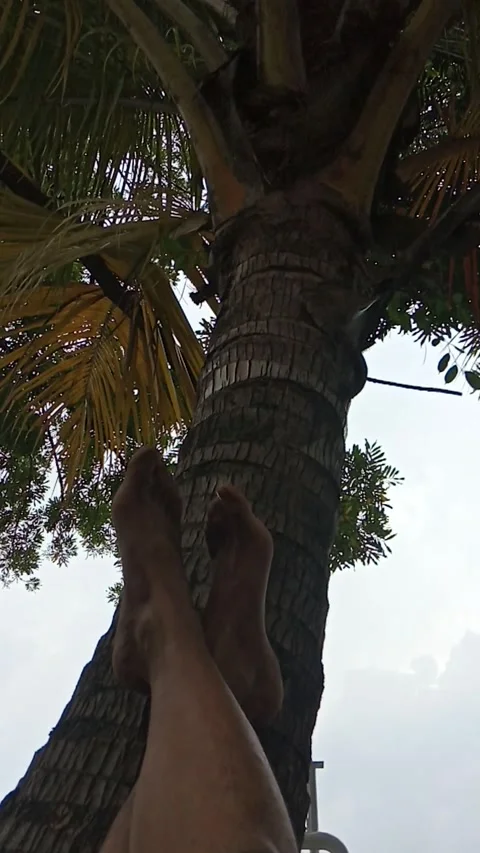 Berteduh Stock Footage 224001366