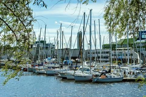 Berth with yachts. Stock Photos