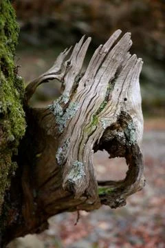 Bertiz seigniory Stock Photos