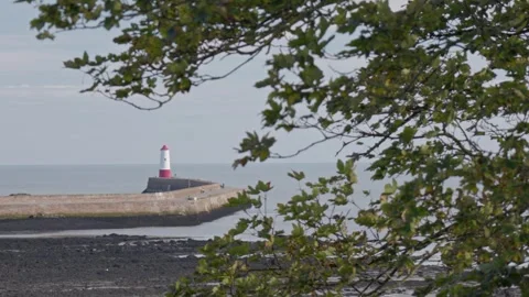 Berwick Lighthouse and pier, Berwick upon Tweed, Britain, UK Video stock 325130219