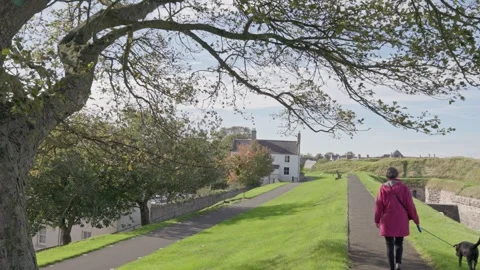 Berwick town walls, Berwick upon Tweed, Northumberland, England, UK Video stock 323503032