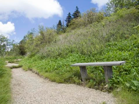 Besnch on trail Stock Photos