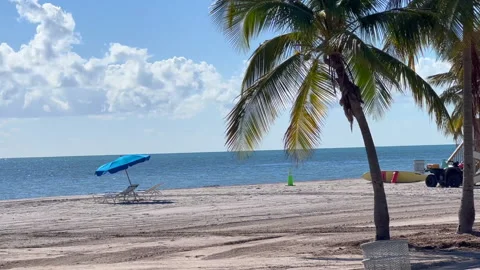Best beach in Miami Key Biscayne, Florida Stock Footage 219888375
