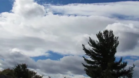 Best Beautiful Moving clouds behind tree top Stock Footage 166482475