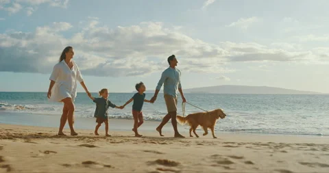 The Best of Days Stock Footage 142912478