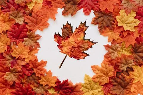 Best Flat Lay Leaf Shape Fall Season Background Best Autumn Season Scene Stock Photos