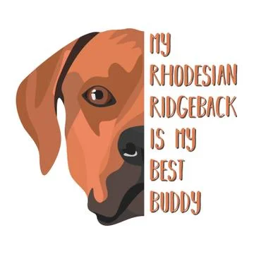 Best Friend Rhodesian Ridgeback. イラスト素材