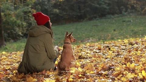 Best friends forever Video stock 81696268