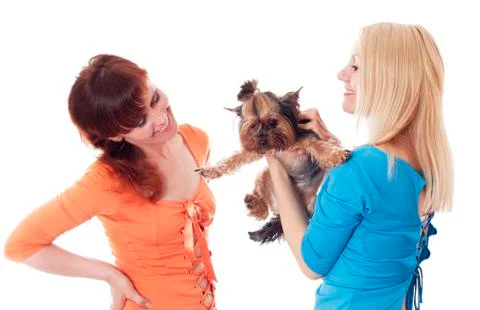Best friends. Foto stock