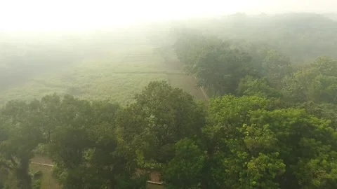 BEST MORING EVER Stock Footage 193915048