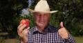 Best Peach Sweet Juicy Flavored Taste Fruit Farmer Thumbs Up Sign Recommend 4k or 4k+ Resolution