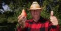 Best Pears Production Gardener Thumbs Up Recommend Best Season Ripe Sweet Fruit 4k or 4k+ Resolution