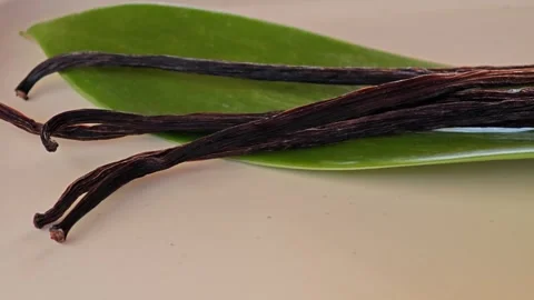 Best quality of vanilla stack on vanilla leaf. Stock Footage 307767997