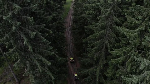 The best shot is an ATV drone while driving through a forest road between trees. Stock Footage 117343007