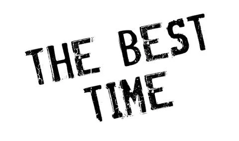 The Best Time rubber stamp Stock Illustration