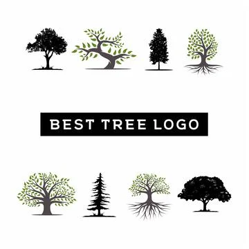 Best tree logo collections set for company logo or branding Stock Illustration