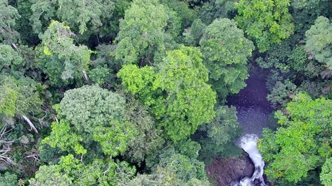 Best view in the river Video stock 198732934