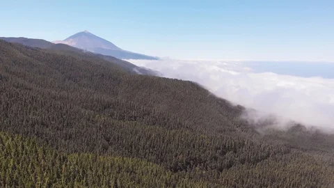 The best view of the Teide volcano from the drone - a valley covered with clouds Stock Footage 110896150