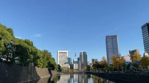 The best view in Tokyo Stock Footage 226138235