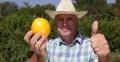Best Yellow Grapefruit Proud Agronomist Recommend Fresh Exotic Citrus Fruit 4k or 4k+ Resolution