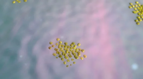 Beta cells on the pancreas surface Stock Footage 46337840