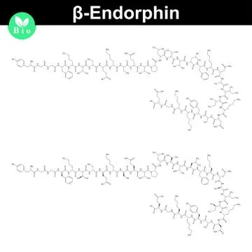 Beta endorphin molecular formula Stock Illustration