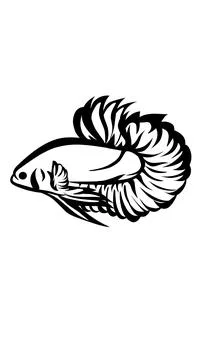 Beta Fish, Mascot fish icon For Bussines Stock Illustration