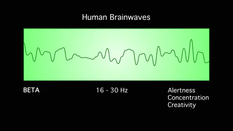 Beta Human Brain Waves Diagram Illustration Animation on Black Background Stock Footage 159518492
