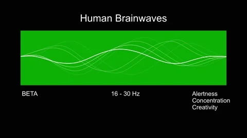 Beta Human Brain Waves Diagram. Stock Footage