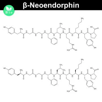 Beta neoendorphin molecular formula Stock Illustration