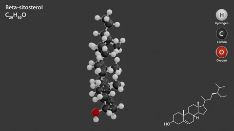 Beta-Sitosterol. 3D model of a molecule. C29H50O. White background. 3D render Stock Footage 292797175