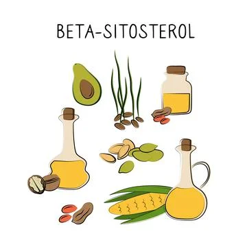 Beta-sitosterol-containing food. Groups of healthy products containing vitamins Stock Illustration
