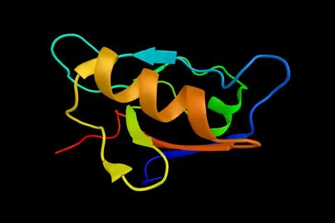 Beta-type platelet-derived growth factor receptor, a protein that in humans.. Illustrazione stock