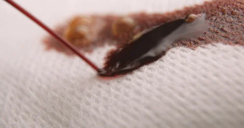 Betadin compress macro slow motion, studio shot in 4K prores HQ Video stock 126366826