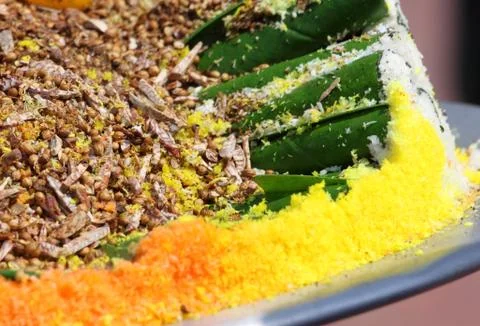 Betel leaf Stock Photos