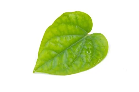 Betel leaf Stock Photos