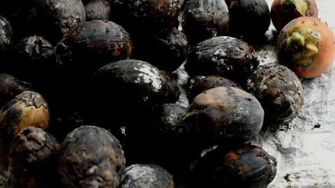 Betel nut kept on a table, betel nut is a seed of the Areca catechu, a type of p Stock Footage 246403556