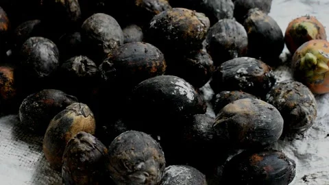 Betel nut kept on a table, betel nut is a seed of the Areca catechu, a type of p Stock Footage 246403591