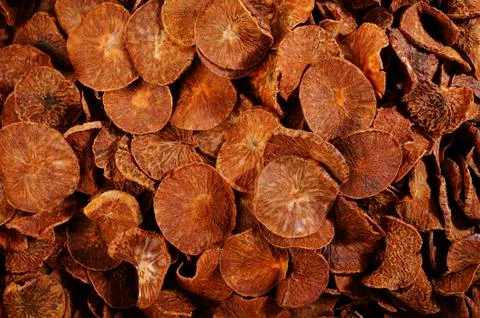 Betel nut Stock Photos