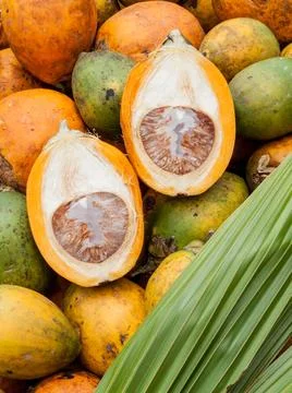 Betel nut put on the ground for drying. (Areca catechu) Stock Photos