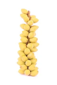 Betel nuts Stock Photos