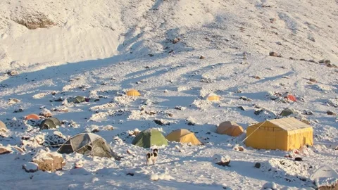 Bethlemi hut base camp with colorful tents and stray dog in snow. Acclimati.. Stock-Footage 285310087