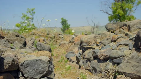 Bethsaida Archaeology Stock Footage 169524509