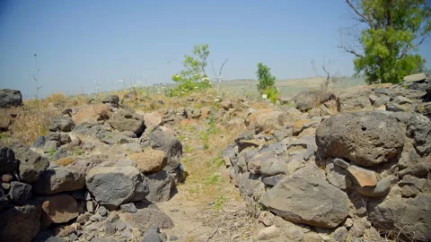 Bethsaida Archaeology Stock Footage 169524561